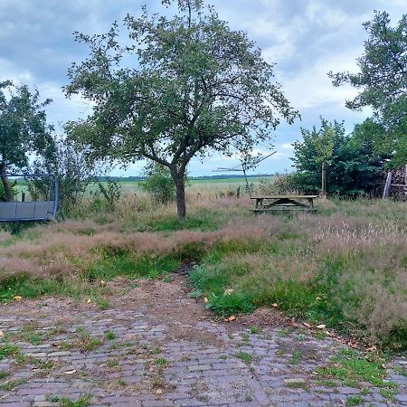 Logeerruimte In Gerenoveerde Boerderij In Wachtum Διαμέρισμα Εξωτερικό φωτογραφία
