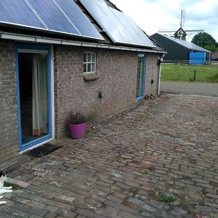 Logeerruimte In Gerenoveerde Boerderij In Wachtum Διαμέρισμα Εξωτερικό φωτογραφία