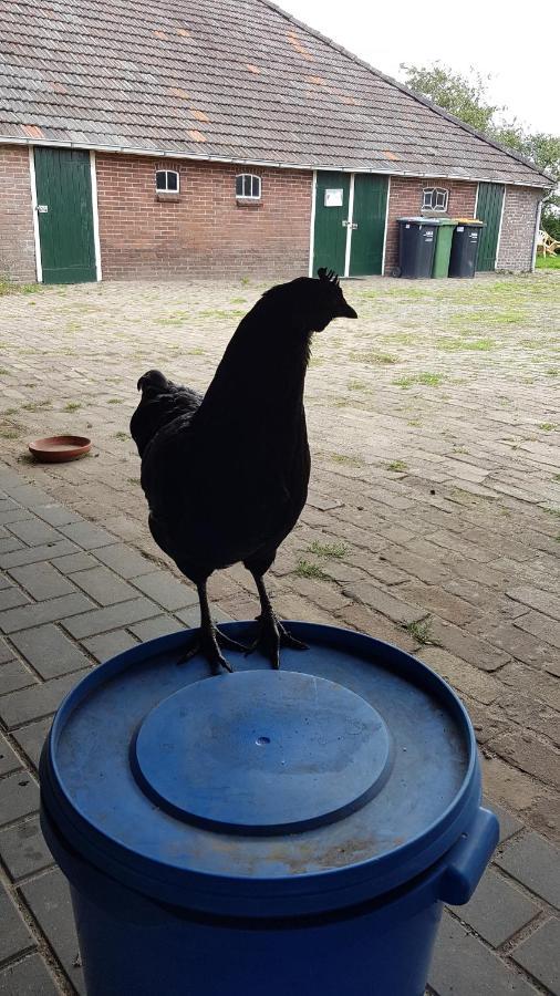 Logeerruimte In Gerenoveerde Boerderij In Wachtum Διαμέρισμα Εξωτερικό φωτογραφία