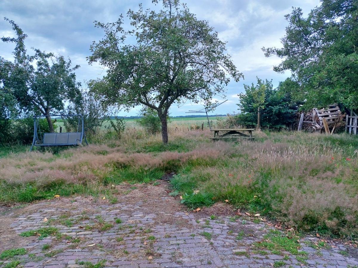 Logeerruimte In Gerenoveerde Boerderij In Wachtum Διαμέρισμα Εξωτερικό φωτογραφία