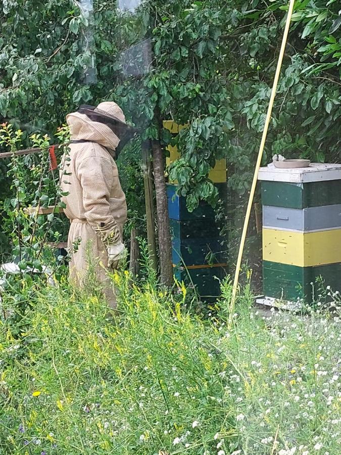 Logeerruimte In Gerenoveerde Boerderij In Wachtum Διαμέρισμα Εξωτερικό φωτογραφία