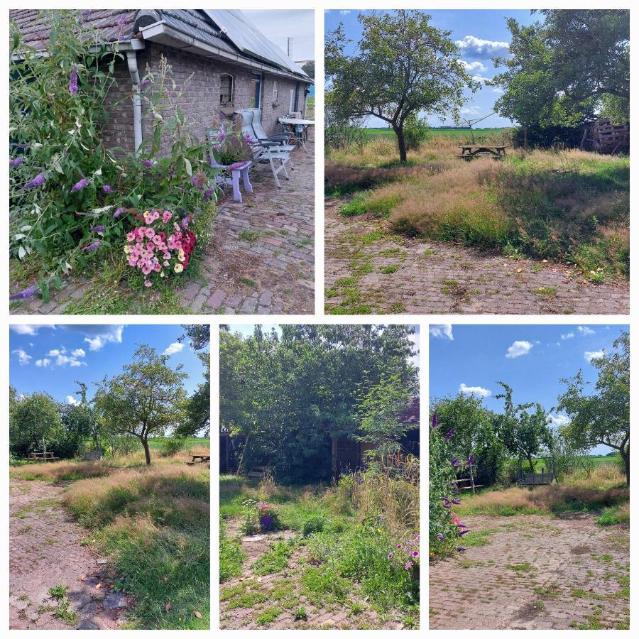 Logeerruimte In Gerenoveerde Boerderij In Wachtum Διαμέρισμα Εξωτερικό φωτογραφία